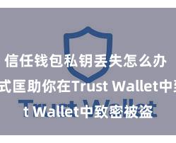 信任钱包私钥丢失怎么办 5个格式匡助你在Trust Wallet中致密被盗