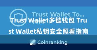 Trust Wallet多链钱包 Trust Wallet私钥安全照看指南