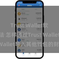 Trust Wallet软件更新方法 怎样通过Trust Wallet导入其他钱包的财富？