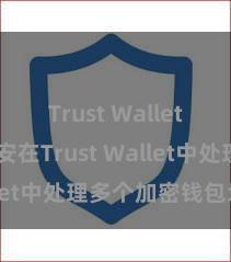 Trust Wallet下载 如安在Trust Wallet中处理多个加密钱包地址？